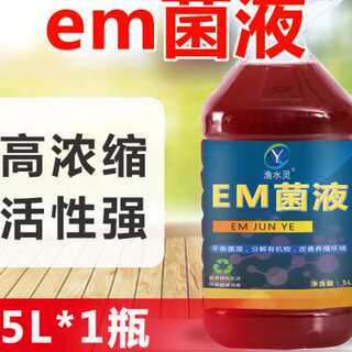 EM菌原露液体超浓缩益生菌鱼虾蟹调水培藻乳酸菌水产养殖含肥水膏