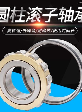 TMB圆柱轴承N NU NJ RN NUP NF1006 1007 1008 1009 EM C3 4