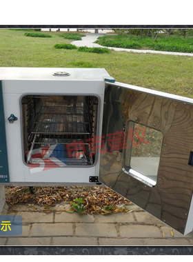 电热恒温干燥箱 101202系列电热鼓风干燥箱 高温烘箱 烘干箱