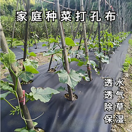 桔友打孔布种菜加厚耐用农用除草布保湿透水透气防草布庭院菜园用