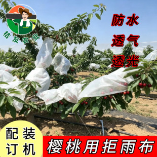 避雨布樱桃李子防水保花保果防晒布透气透光防风拒雨布保温防寒布