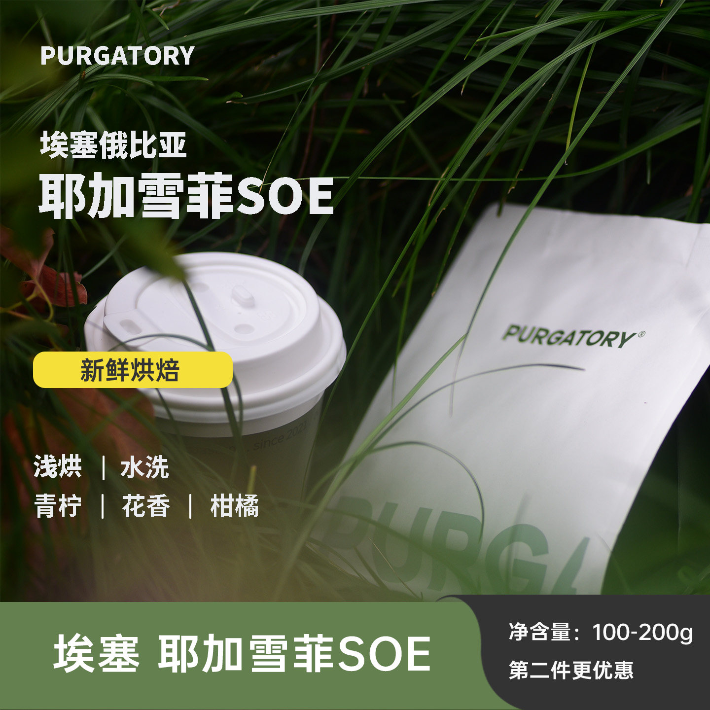 purgatory埃塞俄比亚耶加雪菲SOE手冲单品咖啡豆 浅度烘焙200g