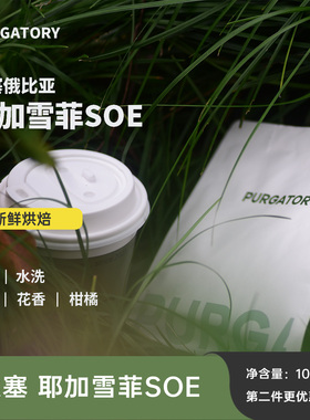 purgatory埃塞俄比亚耶加雪菲SOE手冲单品咖啡豆 浅度烘焙200g