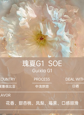 purgatory日晒瑰夏G1埃塞俄比亚Soe单品咖啡豆浅中烘焙