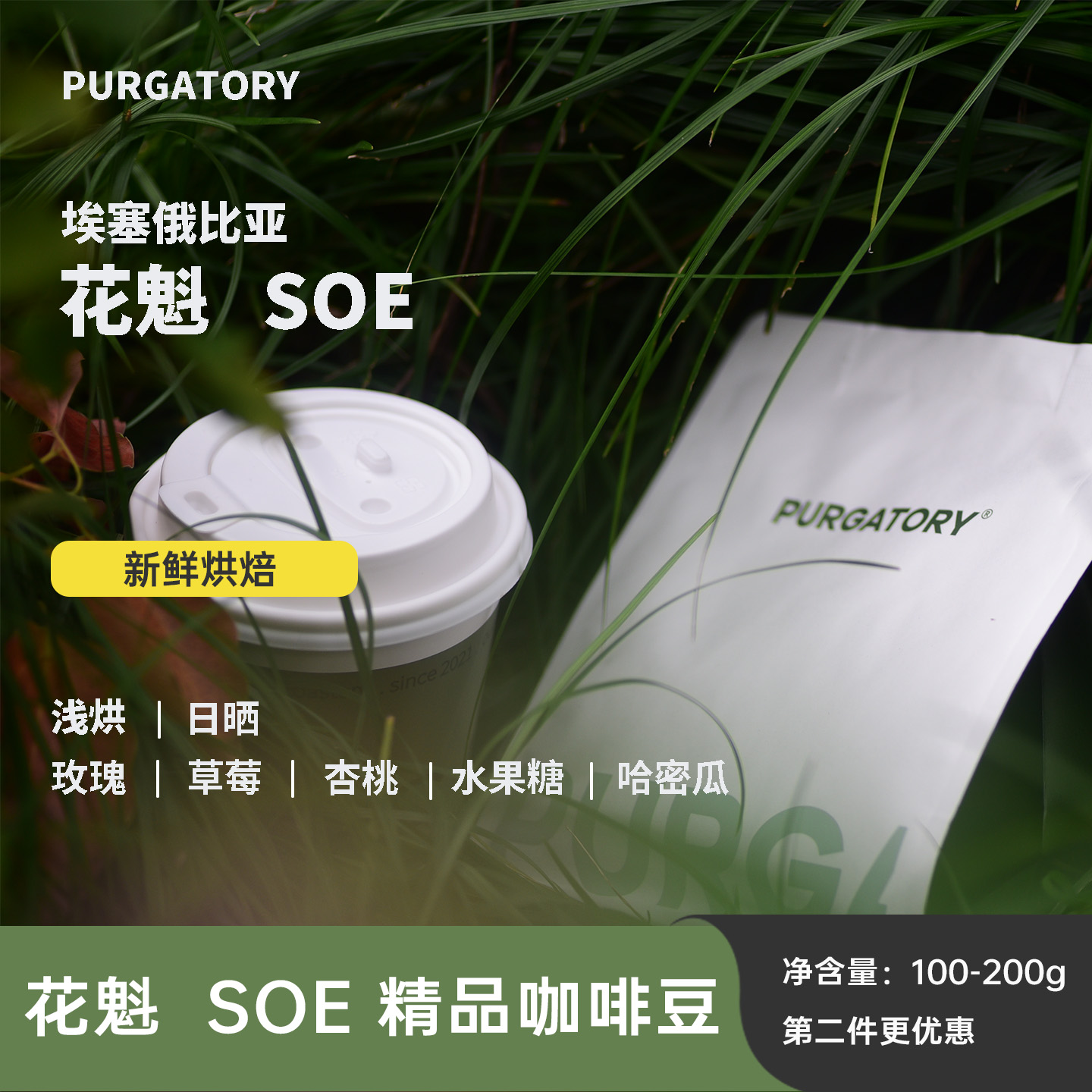 purgatory小粒花魁SOE埃塞俄比亚日晒精品意式单品咖啡豆浅度烘焙