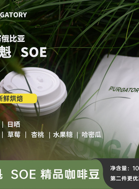 purgatory小粒花魁SOE埃塞俄比亚日晒精品意式单品咖啡豆浅度烘焙
