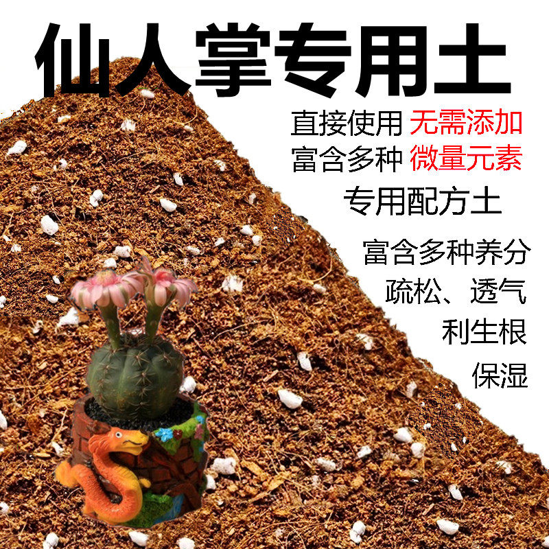 仙人柱盆栽多肉类种植土