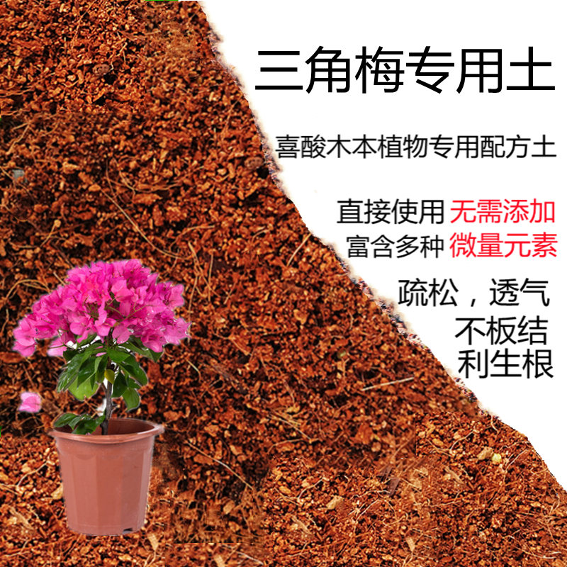三角梅专用营养土盆栽家庭种植土壤三角梅土酸性土壤木本植物土