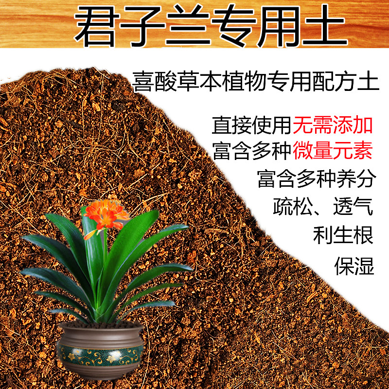 透气肥料君子兰土包邮