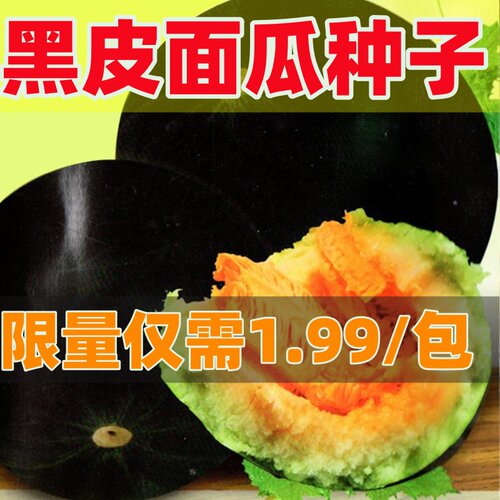 黑皮面瓜籽香瓜种子小可爱甜瓜