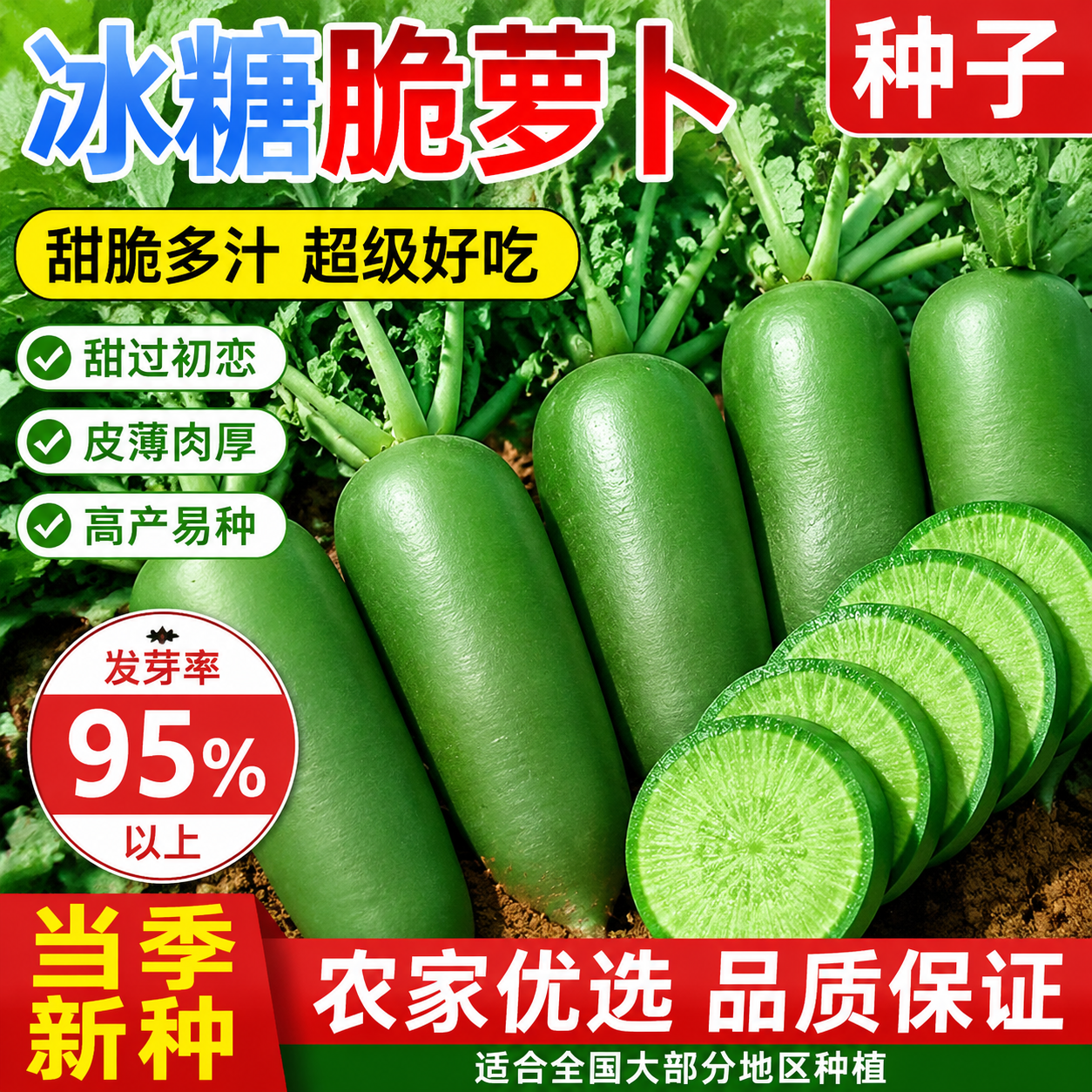 冰糖水果萝卜种子生吃脆甜农家蔬菜种四季播种阳台盆栽绿萝卜种籽