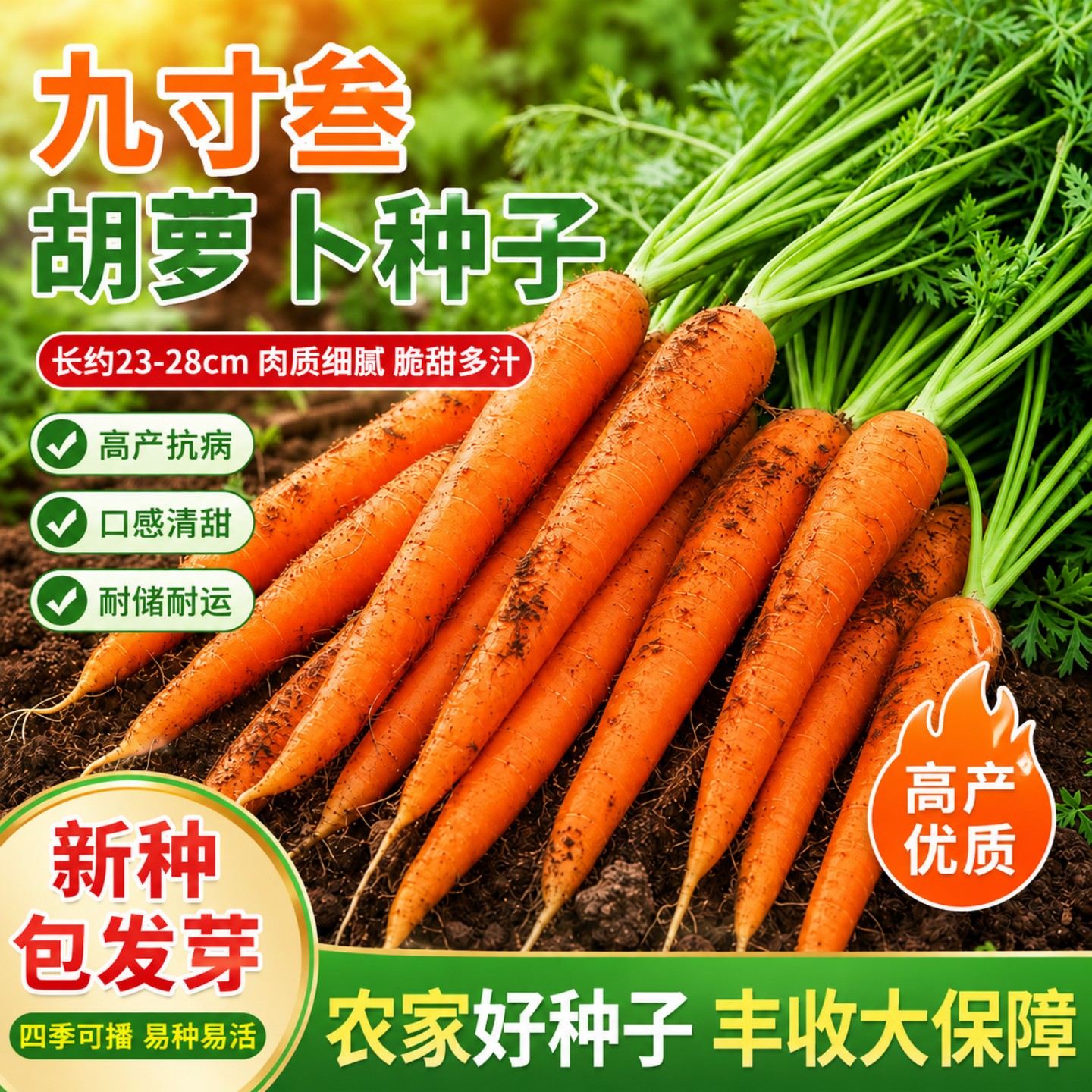 三红九寸参甜脆易种高产胡萝卜种