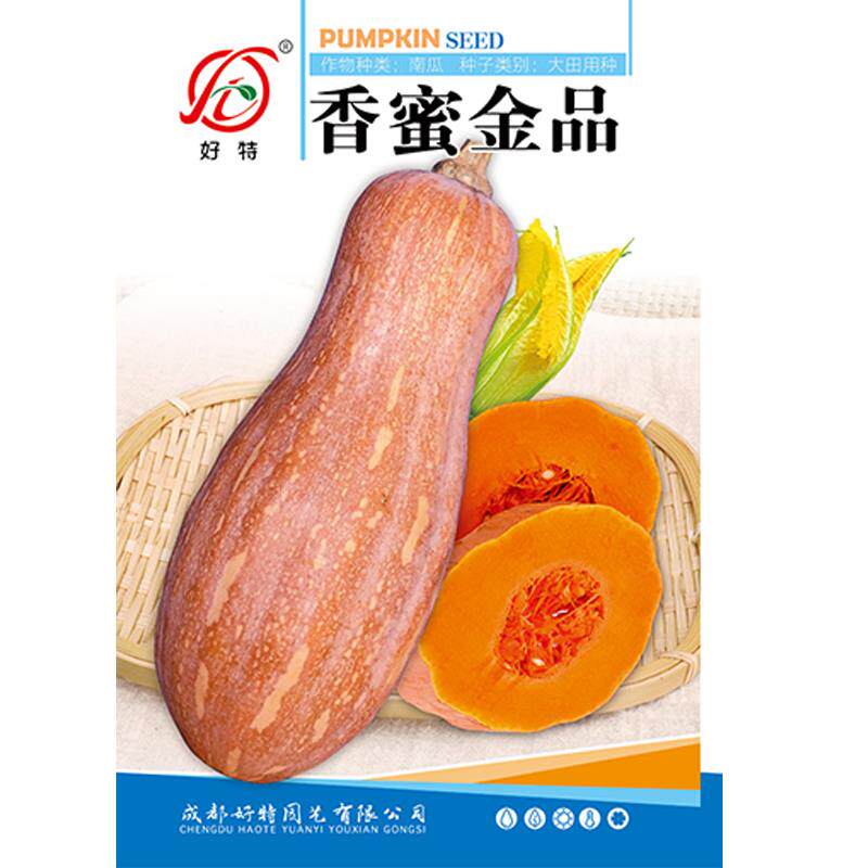 香蜜金品南瓜种子早熟耐热黄金黄心南方种植老式高钙进口当季新种