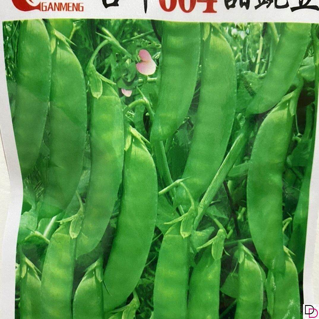 红花604荷兰豆种子双荚大