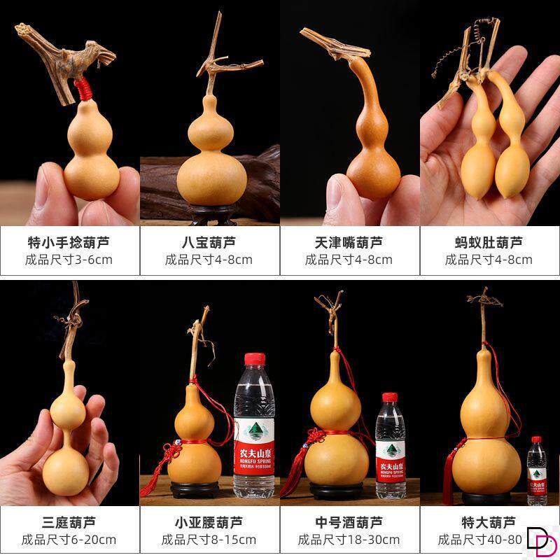 文玩手捻特小葫芦种子七彩小亚腰八宝葫芦籽种特大号葫芦种子大全