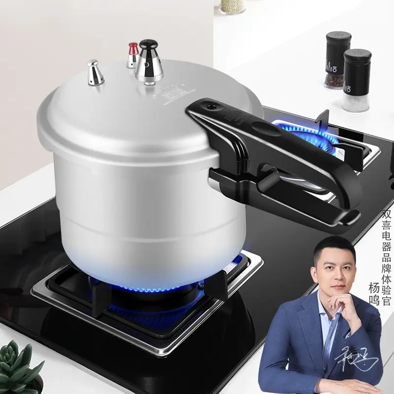 双喜家用高压锅燃气明火电磁炉专用小迷你加厚压力锅防爆家用正品