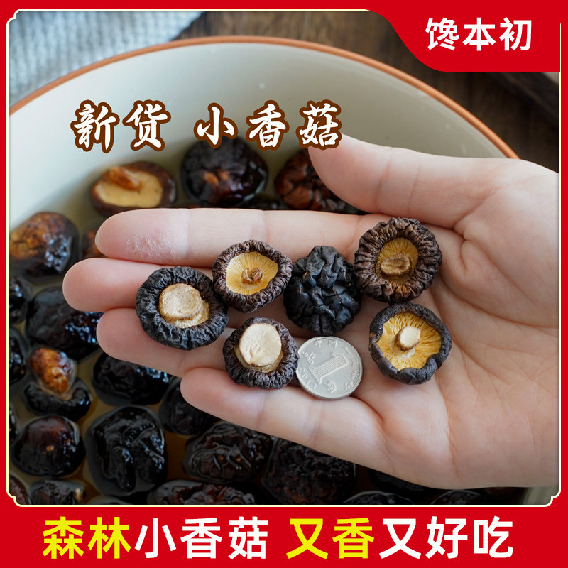福建迷你小香菇干货500g农家特产肉厚无根 金钱菇迷你珍珠菇
