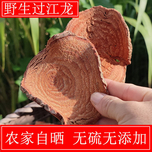 广西过江龙新鲜干净无添加