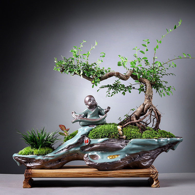 小叶榆树悬崖式老桩怪桩树桩造型盆景室内家居大植物艺术盆栽送礼