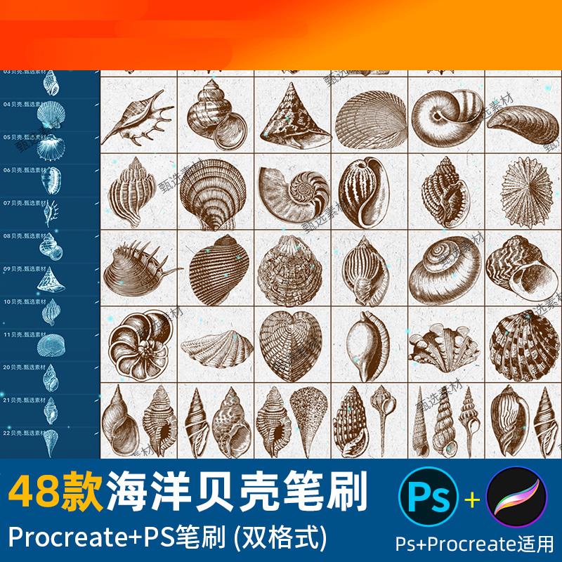 电子模板ps笔刷procreate笔刷海螺扇贝壳海洋沙滩复古插画设计素