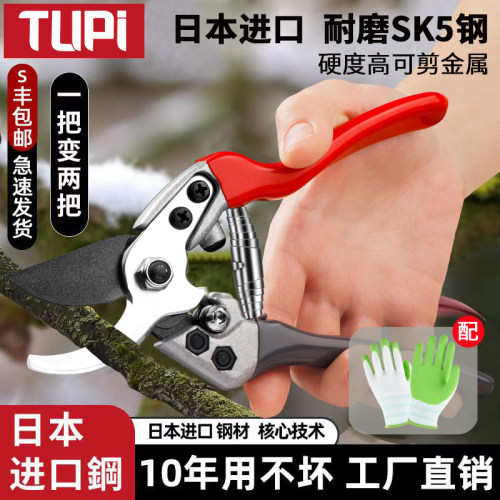 日本进口SK5园艺剪刀粗枝剪树枝专用果树修枝修花艺花剪园林剪枝