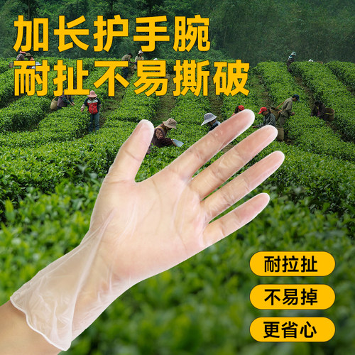 一次性摘茶叶薄款耐磨防扎刺手套