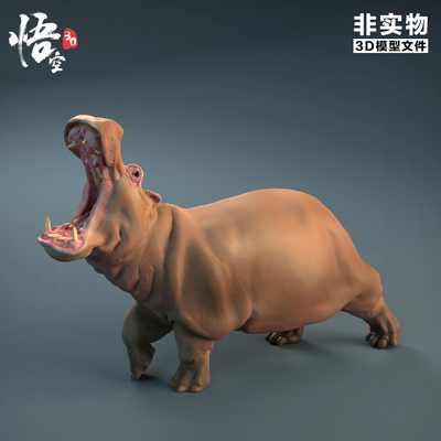 陆地生物 愤怒的河马 哺乳动物STL图纸文件 3D打印模型设计素材