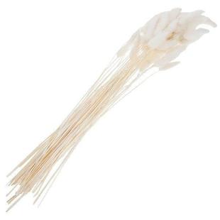 Dried Flowers Grass Bunny Rabbit Decor Tails Fall Black Dry