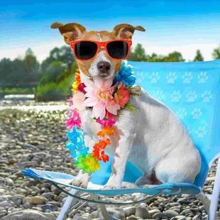 Dog Wreath Party Pet Decor Cat Flower Beach Headwear