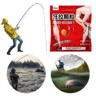 Carp Lure Simple Fish Easy Baits And Bait Hook Grass