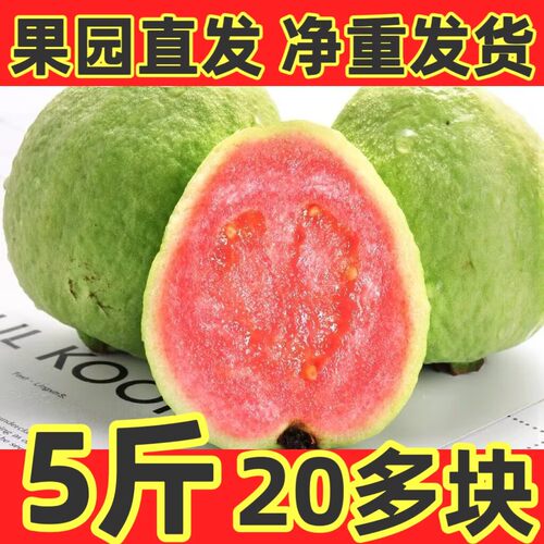 红心番石榴新鲜采摘发货