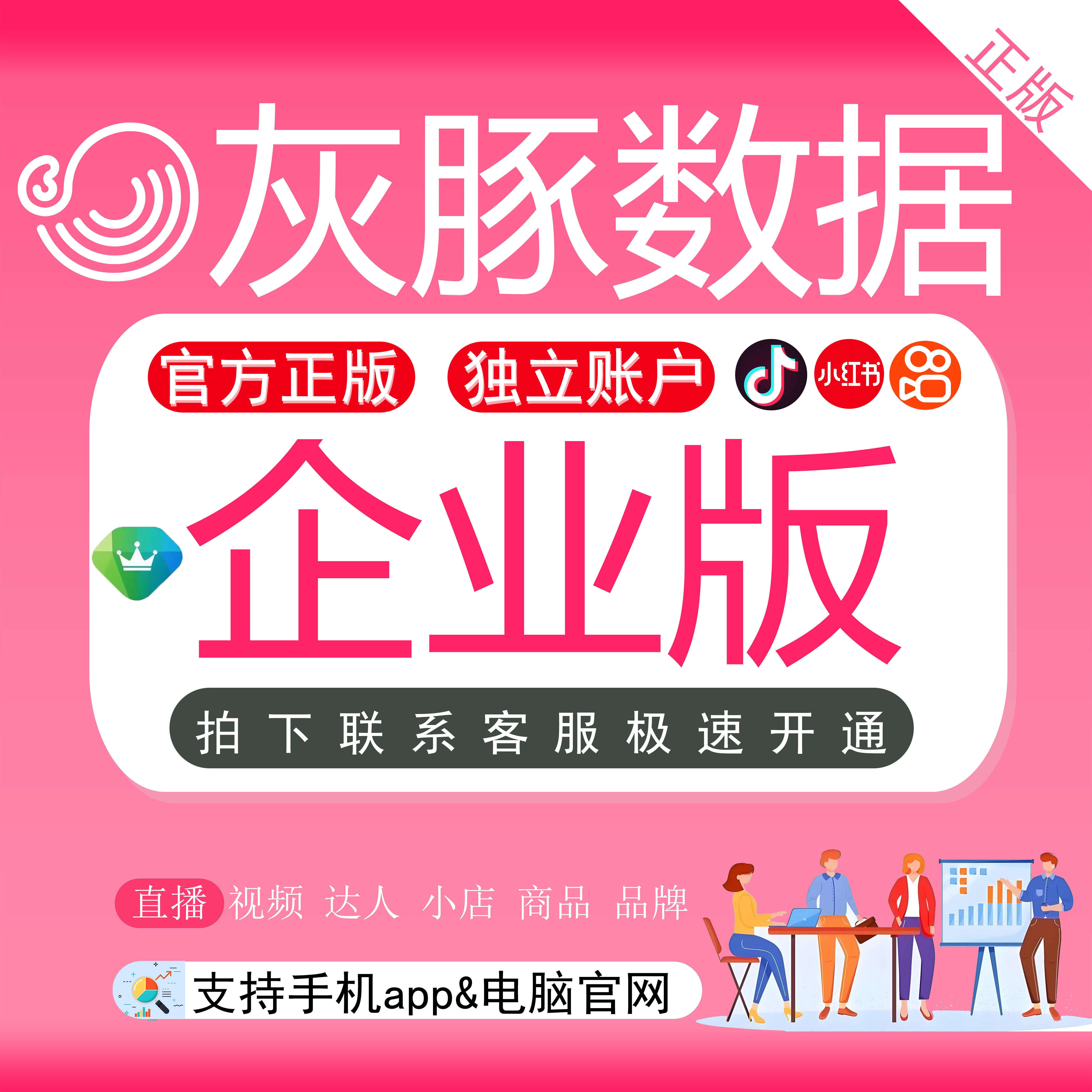 灰豚数据会员企业版数据分析