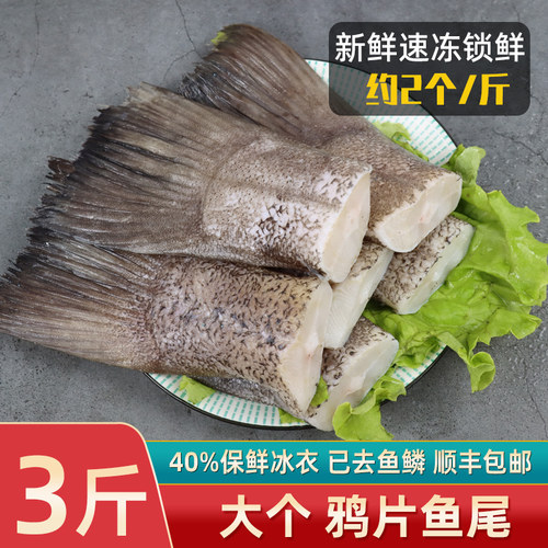 深海鸦片鱼尾鲽鱼尾顺丰