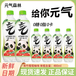 15瓶整箱0糖0脂0卡饮料正品 元 气森林青竹葡萄柚味气泡水480ml