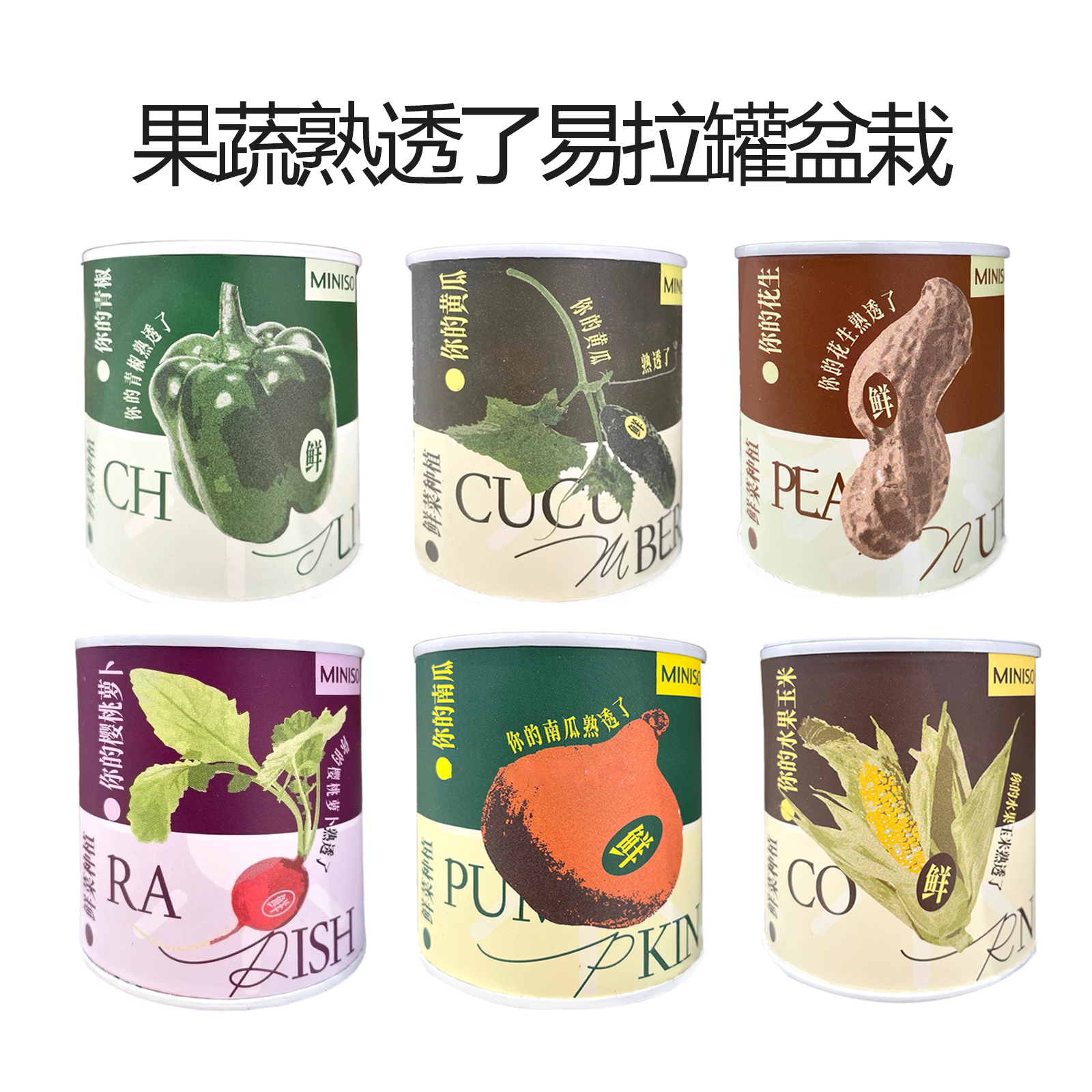 果蔬熟透了易拉罐植物盆栽