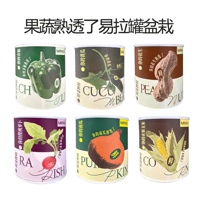 果蔬熟透了易拉罐植物盆栽