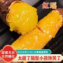 正宗榴莲蜜薯地瓜山东当季 新鲜番薯以糖化香甜软糯红瑶蜜薯烤红薯