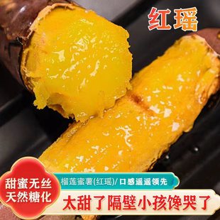 正宗榴莲蜜薯地瓜山东当季 新鲜番薯以糖化香甜软糯红瑶蜜薯烤红薯