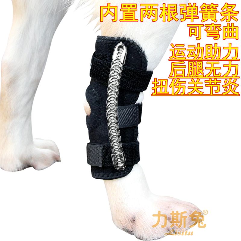 狗狗关节保护套绑带老年