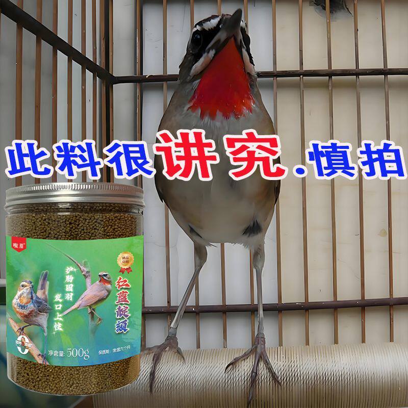 红靛颏鸟食红蓝靛颏饲料亮羽增色靓丽小颗粒通用手工专用鸟粮