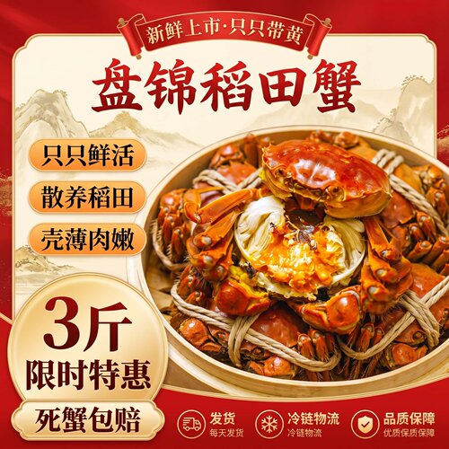 盘锦鲜活无绳净整只大闸蟹礼盒
