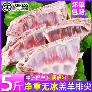 新鲜羊排尖内蒙古羊排尖带油小排肋排山羊排饭店用生羊肉批发顺丰