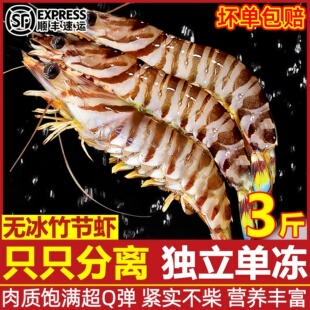九节虾斑节虾超大竹节虾鲜活冷冻海鲜水产基围虾新鲜黑虎虾鲜对虾
