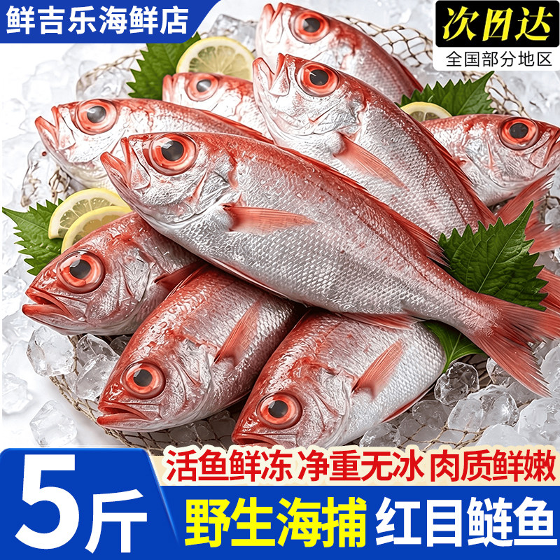 北海海捕红目鲢鱼无冰5斤装