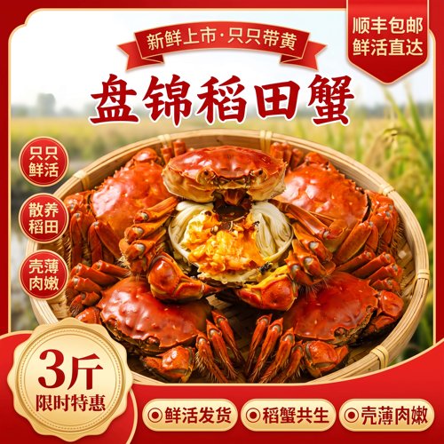 盘锦六月黄特大鲜活大闸蟹