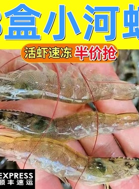 新鲜小河虾鲜活冷冻淡水虾当天捕捞青虾水产急冻草虾小虾非基围虾