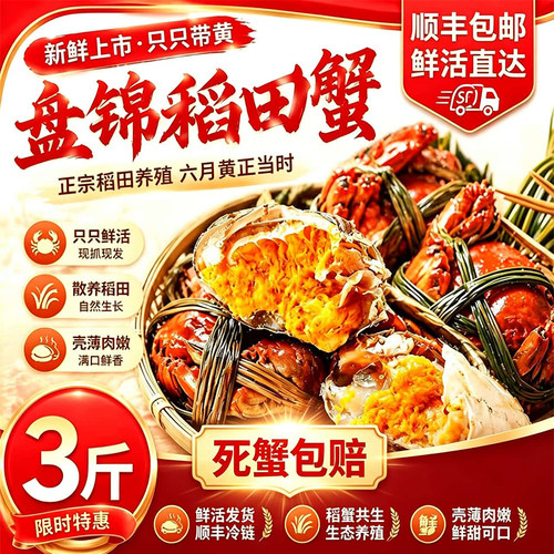 盘锦六月黄鲜活去绳整箱河蟹