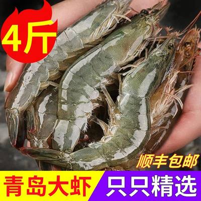 青岛大虾超大基围虾速冻海虾