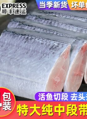 带鱼中段新鲜冷冻大刀鱼中段海鲜整箱小眼油带鱼段非舟山批发顺丰