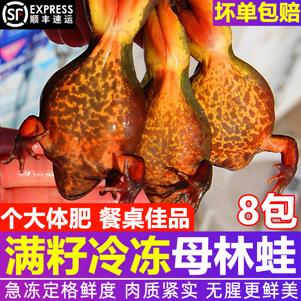 2025年新货东北林蛙冷冻母豹子